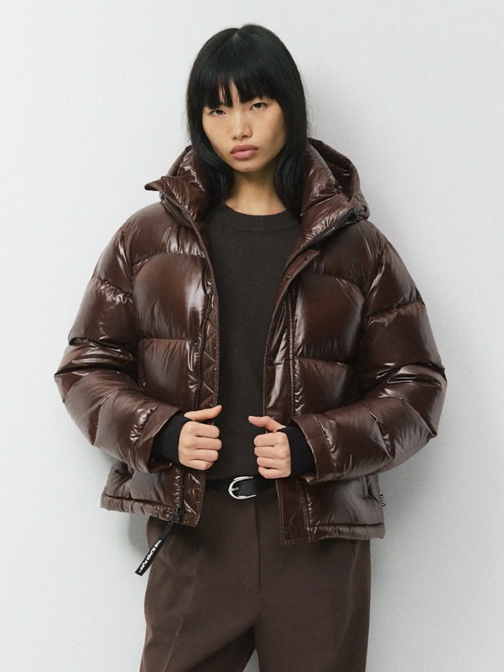 Aritzia Super Puff shorty brown shiny
